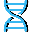 Paramount Peptides logo